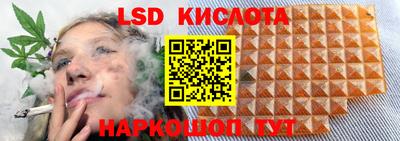 прущие крисы Будённовск
