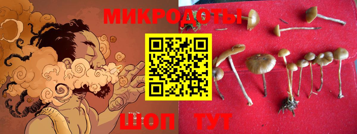 Галлюциногенные грибы Cubensis Шарыпово