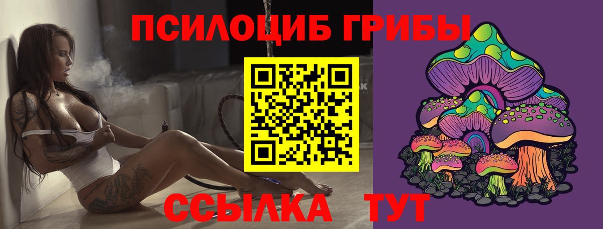 купить наркотик  Псилоцибиновые грибы прущие грибы  Вход с VPN  Псилоцибиновые грибы прущие грибы  Шарыпово 